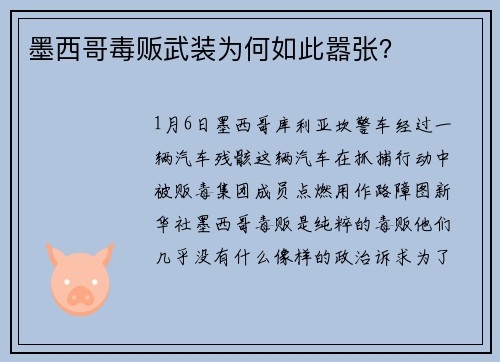 墨西哥毒贩武装为何如此嚣张？