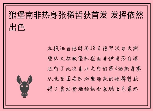 狼堡南非热身张稀哲获首发 发挥依然出色